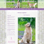 Goldiva Goldens
