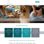 Five Star Chiropractic